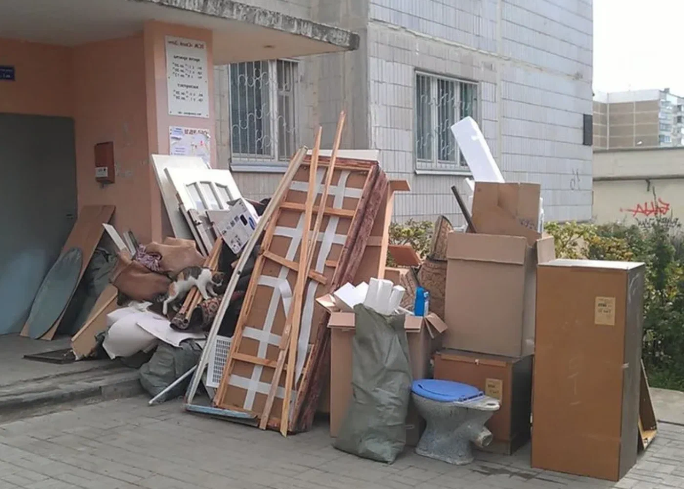 Профессиональный вывоз мусора из квартиры в Павловском Посаде в октябре
