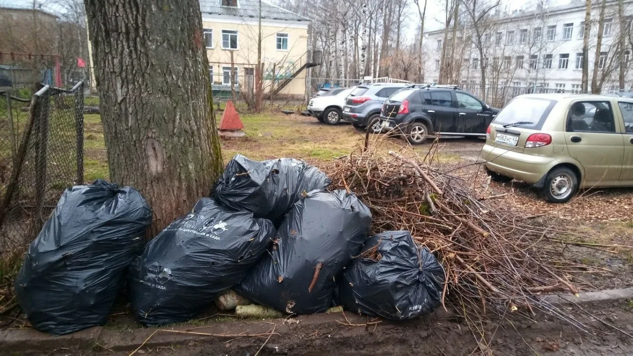 Вывоз мусора после субботника в Павловском Посаде от ПроМусор – уборка и утилизация отходов от 2388 руб