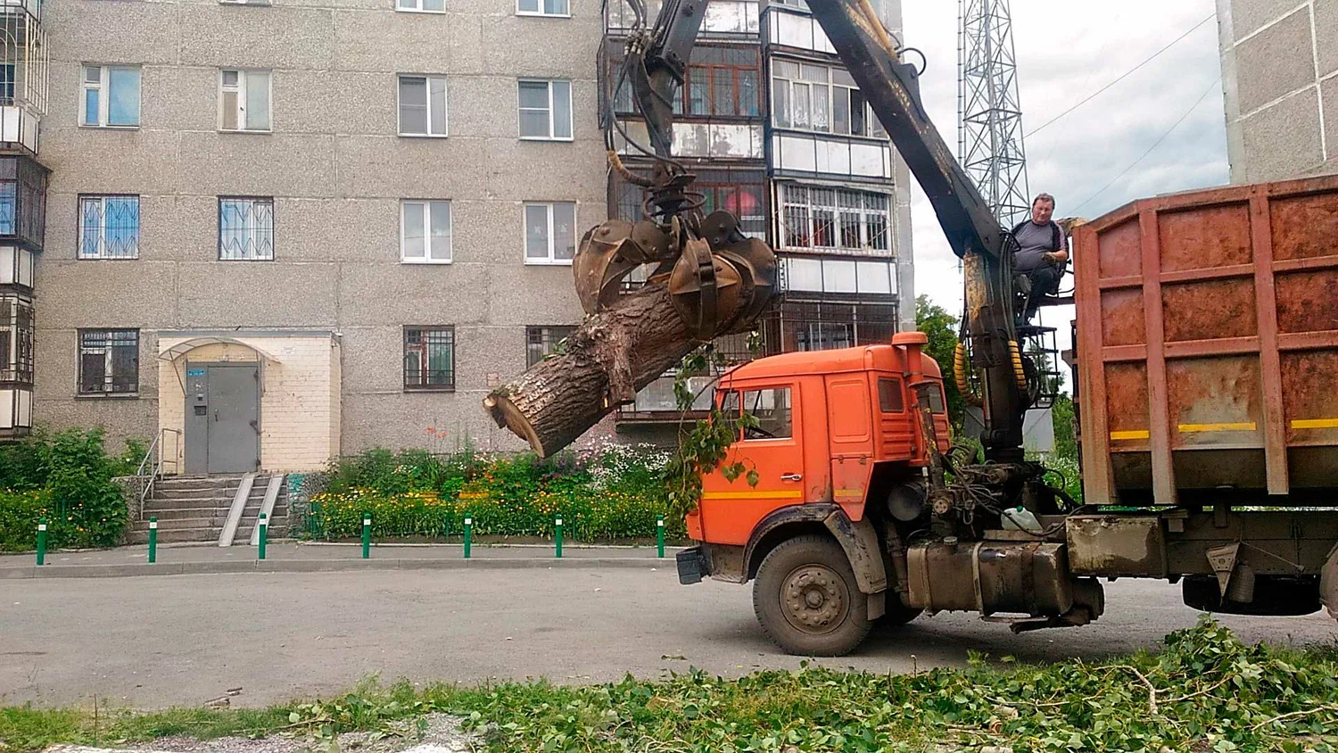 Вывоз спиленных веток и деревьев в Павловском Посаде от ПроМусор: порубочные остатки, утилизация, цена от 2947 руб