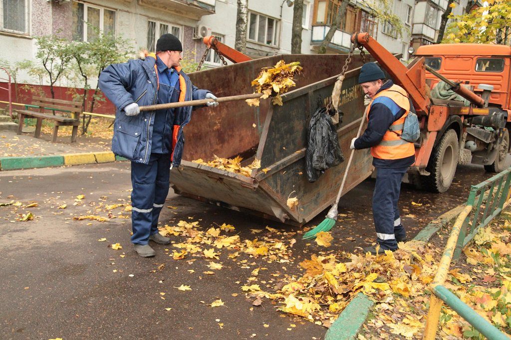 Вывоз опавшей листвы и растительного мусора в Павловском Посаде от ПроМусор – цена от 4573 руб., быстрая уборка и утилизация